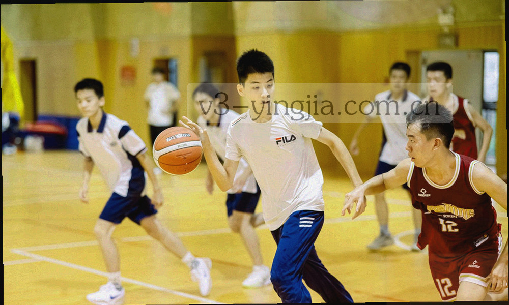 两队历史交锋战绩列表与图表示意
